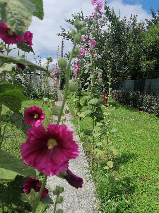 Le104Bis Bed and Breakfast Poitiers Esterno foto